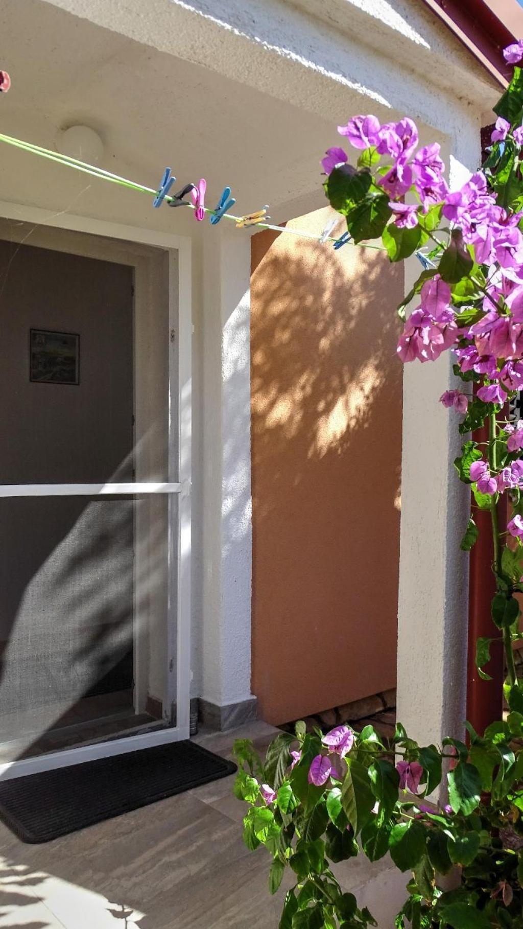 ויר Studio Apartman I Mali Apartman מראה חיצוני תמונה
